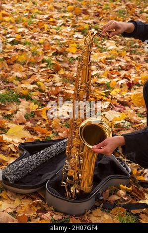 Ein Musikermädchen spielt ein Saxophon. Nahaufnahme eines goldenen Saxophons in einem Gehäuse vor einem Hintergrund gelber Blätter. Stockfoto