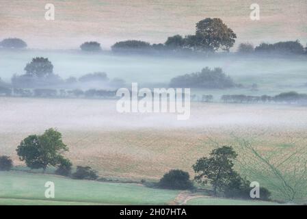 Atemberaubendes nebliges Landschaftsbild am Morgen, das im Spätsommer über Felder im South Downs National Park im rollenden englischen Gegenbild blickt Stockfoto
