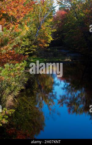 Herbstblätter, die sich an einem Oktobertag im Strom spiegeln Stockfoto