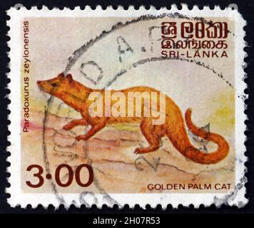 SRI LANKA - UM 1983: Eine in Sri Lanka gedruckte Marke zeigt Golden Palm Civet, Paradoxurus Zeylonensis, ist ein in Sri Lanka endemischer Palmcivet aus der Zeit um 198 Stockfoto