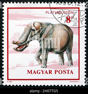 UNGARN - UM 1990: Eine in Ungarn gedruckte Briefmarke zeigt Platybelodon, Prähistorisches Tier, um 1990 Stockfoto