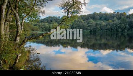 Gormire Lake, von der letzten Eiszeit zurückgelassen, North Yorkshire, England, Großbritannien Stockfoto