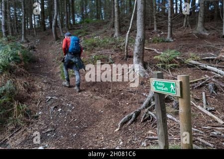 Spaziergänger, die auf dem Brückenweg der North York Moors über Helmsley, Yorkshire, England, Großbritannien, wandern Stockfoto