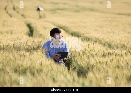 Zufriedene junge Agronom hockt in Gerstenfeld und Blick auf Tablette Stockfoto