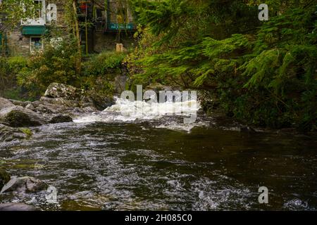 Weiß schäumendes Wasser stürzt sich über den Wasserfall und führt auf dem Afon Llugwy, Betws-y-coed, Snowdonia National Park, Wales, zur pont-y-Pair-Brücke Stockfoto