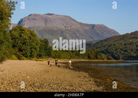 FORT WILLIAM, SCHOTTLAND - SEPTEMBER 01 2021: Ben Nevis Berg von den Ufern des Loch Eil in der Abendsonne in der Hochlandstadt for gesehen Stockfoto