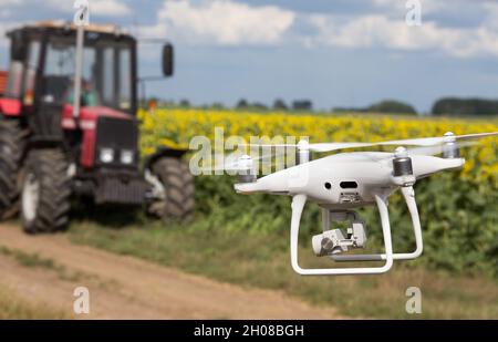 Drohne fliegt im Frühsommer vor dem Traktor mit Anhänger im Sonnenblumenfeld. Technologische Innovationen in der Landwirtschaft Stockfoto
