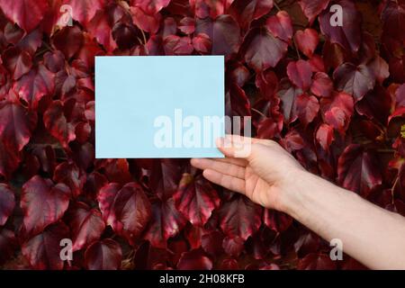 Hand mit leerem Papierblattkartenmockup mit Kopierplatz. Der Mann hält ein weißes Blatt Papier in der Hand auf dem roten Hintergrund der Herbstblätter. Herbstangebot Stockfoto