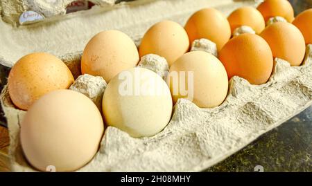 Nahaufnahme von Karton mit frischen Eiern in den Farben Weiß, Braun und Bräune Stockfoto