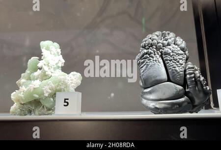 Edelsteine, Mineralien und frühere Steine werden in einer Vitrine im Museum ausgestellt. Stockfoto