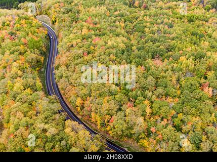 Luftaufnahme einer asphaltierten Straße, die sich während der Herbstsaison durch den Wald schlängelt Stockfoto