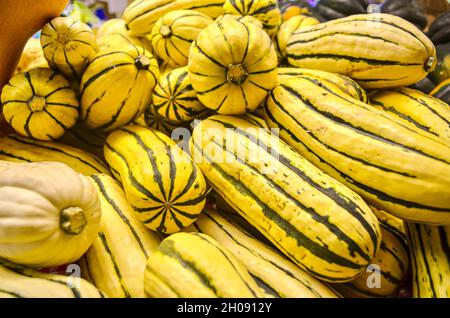 Eine Präsentation von delikaten Squash auf einem lokalen Bauernhof Stand. Dieser Squash ist eine Sorte Cucurbita pepo. Ist auch als Erdnusskürbis und Böhmischer Squash bekannt. Stockfoto