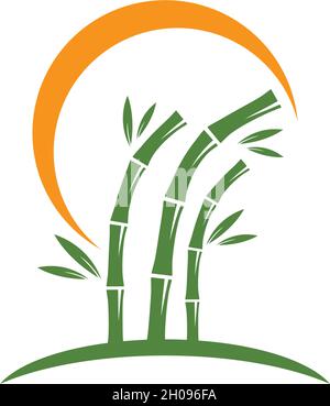 Bambus-Logo mit grünen Blatt Vektor-Symbol-Vorlage Stock Vektor