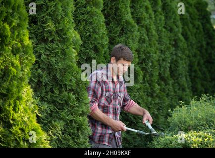 Hübscher junger Mann, der Büsche mit einer Schere im Garten trimmt Stockfoto