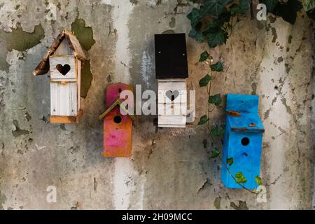 Gruppe von vier bunten niedlichen hölzernen Vogelhäusern, die an einer grauen Wand hängen Stockfoto