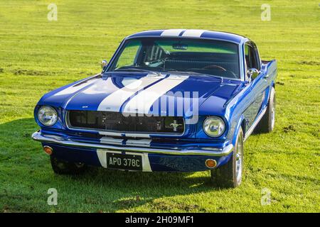 1965 60s Blue 4736cc Ford Mustang bei Southport Classic und Speed 2021, Victoria Park, Southport, UK Stockfoto