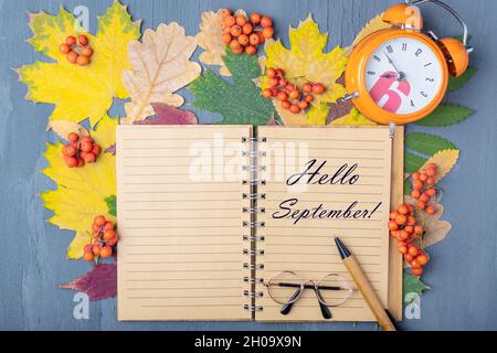 Oranger Wecker, Bastelnotizbuch mit der Aufschrift HELLO SEPTEMBER, Stift und Brille auf einem Hintergrund von herbstlich trockenen bunten Blättern. Arbeitstag pl Stockfoto