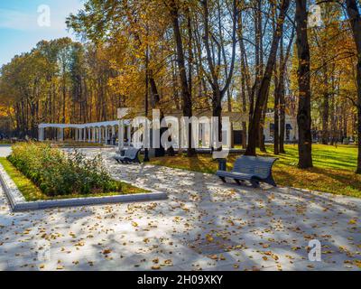 Blick auf die Gasse des Stadtparks an einem sonnigen Herbsttag. Gelbe Herbstblätter bedecken die Bänke und Gehwege. Goldenes Blatt Fall in der Stadt. Stockfoto