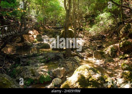 Griechenland Insel Rhodos Dorf Theologos Tal der Schmetterlinge Stockfoto