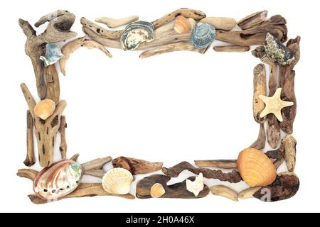 Natürliches Treibholz und Meeresmuschel Hintergrund Grenze auf weiß mit einer Vielzahl von Muscheln. Abstraktes kreatives Designelement. Platz zum Kopieren, Draufsicht, flach liegend. Stockfoto