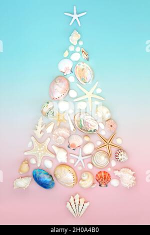 Weihnachten Meeresmuschel Baum Konzept Form für alternative südlichen Hemisphäre Design. Kreative abstrakte Komposition auf dem Hintergrund in Pastellrosa und Blau Stockfoto