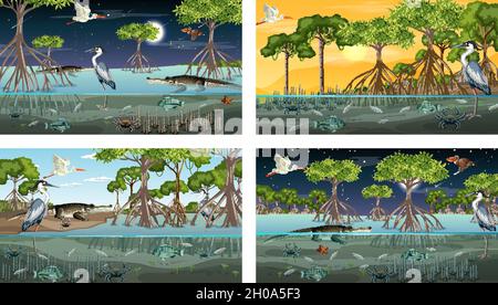 Verschiedene Mangrovenwaldlandschaftsszenen mit Tieren und Pflanzen Illustration Stock Vektor