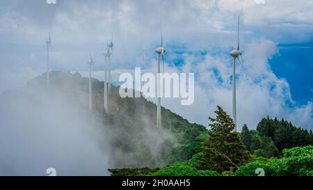 Windmühlen (Windturbinen) auf einem Berg. Die Stadt kann durch den Nebel im Tal gesehen werden. Grüner Bergrücken. Wunderschöne natürliche Umgebung Stockfoto