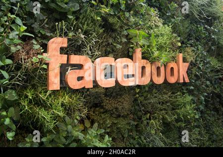 Facebook-Logo auf einer lebenden grünen Pflanzenwand im Facebook-Pavillon in Cannes Francce 2015 Stockfoto