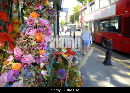 Blumenausstellung auf der King's Road während der jährlichen Blumenkunstshow Chelsea in Bloom und Blumendusch in den Geschäften und Straßen von Chelsea, die zum Coinking-Auftritt aufgelegt werden Stockfoto