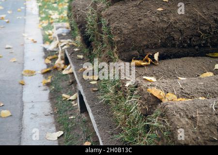 Grünes Rasengras in Rollen auf einer Palette draußen im Park. Stockfoto