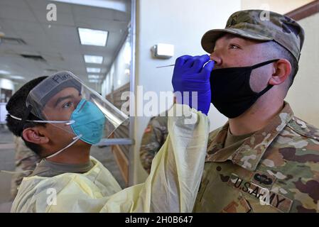 Pvt. Daniel Flores und Alpha Company, 232. Medizinisches Bataillon, verwenden einen Baumwolltausch, um Personal Sgt zu testen. Jose Gomez und Alpha Company 264. Medizinisches Bataillon für COVID-19. Stockfoto