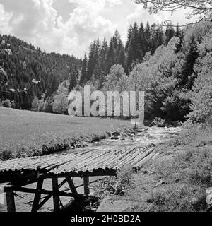 Ein kleiner Steg führt über einen Bach im Schwarzwald, Deutschland 1930er Jahre. Eine kleine Promenade über einen kleinen Bach in Schwarzwald, Deutschland 1930. Stockfoto