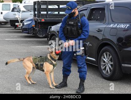 Der Petty Officer der 2. Klasse Tyler Whitney, ein Spezialist für die Durchsetzung der Seefahrsicherheit vom Maritime Safety and Security Team 91108, mit Sitz in Kings Bay, Georgia, belohnt K-9 Jenny mit ihrem Kauspielzeug, nachdem sie während des Trainings vor der Amtseinführung 2021 in der Joint Base Anacostia-Bolling, Washington, im Januar 18, erfolgreich entdeckt wurde. 2021. Am 24. September 2018 bezeichnete das Ministerium für Heimatsicherheit die Amtseinführung des Präsidenten als ein wiederkehrendes nationales Sondersicherheitsereignis. Ereignisse können als NSSE bezeichnet werden, wenn sie den vollen Schutz, das Vorfallsmanagement und die Terrorismusbekämpfung gewährleisten Stockfoto