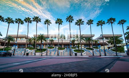 Tampa, FL – 12. September 2021; Palmenreihe vor dem Eingang zum Tampa Convention Center, einem mittelgroßen Veranstaltungsort in der Innenstadt an der Mündung von Stockfoto