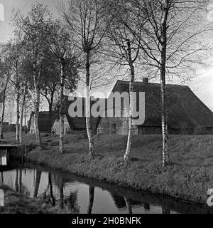 Strohgedeckte Häuser in der Elbmarsch, Deutschland 1930er Jahre. Reetgedeckte Häuser am bogland von Elbe, Deutschland 1930. Stockfoto