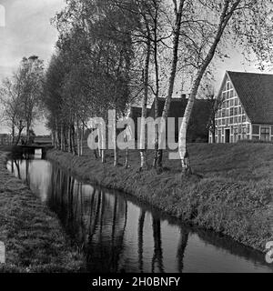 Strohgedeckte Häuser in der Elbmarsch, Deutschland 1930er Jahre. Reetgedeckte Häuser am bogland von Elbe, Deutschland 1930. Stockfoto