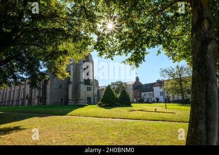 Die Sonne scheint hell durch die Blätter der Bäume vor dem St. Nicholkenkirchengrün in North Walsham, Norfolk, England. Stockfoto