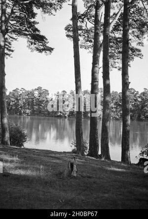 Unterwegs Heubude bei Danzig, 1930er Jahre. Landschaft in der Nähe von Danzig Heubude, 1930er Jahre. Stockfoto