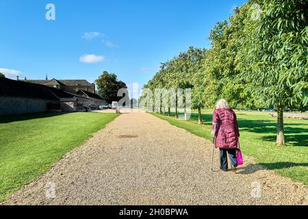 Eine behinderte Frau geht an einem sonnigen Tag auf einem von Kastanienbäumen gesäumten Kiesweg zum Burghley House, Stamford, England. Stockfoto