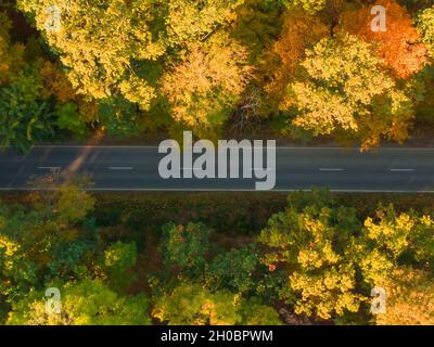 Luftaufnahme der Straße mit Auto in schönen Wald bei Sonnenuntergang Herbst. Stockfoto