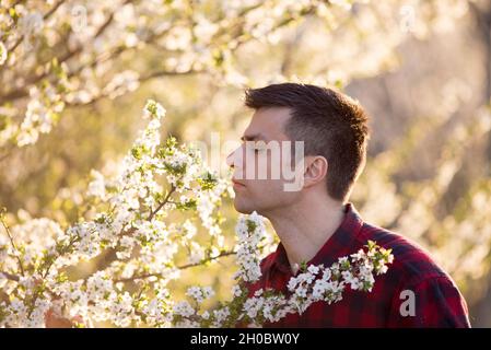 Attraktiver junger Mann, der im Obstgarten blühenden Baum riecht Stockfoto