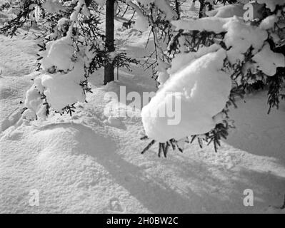 Winterlandschaft in Ostpreußen, 1930er Jahre. Winter Landschaft in Ostpreußen, 1930er Jahre. Stockfoto