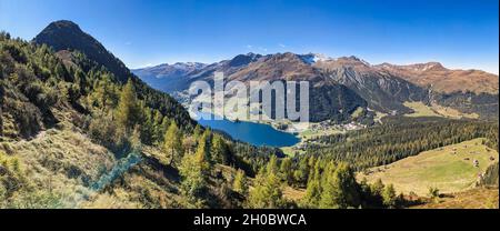 Lärchenwald über dem Davos-See. Panoramabild der Davos Klosters Berge. Herbstzeit in den Bergen. Seehorn Stockfoto