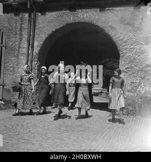 BdM Mädel als Landhelfer bei Bauern in der Gegend von Polle an der Weser, Deutschland 1930er Jahre. BdM-Mädchen als Unterstützung für die lokalen Bauern in der Nähe von Polle, Deutschland 1930. Stockfoto