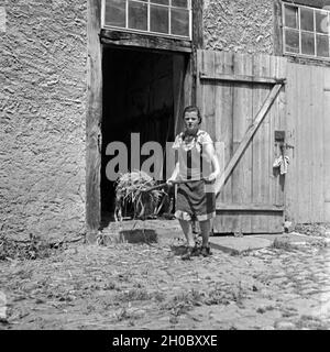 Ein BdM Mädel als Landhelfer bei Bauern in der Gegend von Polle an der Weser, hier beim Ausmisten des Schweinestalls, Deutschland 1930er Jahre. Ein BdM-Mädchen als Unterstützung für die lokalen Bauern in der Nähe von Polle ist hier, mucking das Schwein stabil, Deutschland 1930. Stockfoto