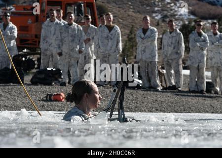 U.S. Marine 2nd LT. Morgan James, ein Kampfingenieur-Offizier mit 7th Engineer Support Bataillon, 1st Marine Logistics Group, taucht am 20. Januar 2021 im Mountain Warfare Training Center, Kalifornien, in einen eisbeeisten See ein. Marineinfanteristen und Soldaten, die am Winterbergingenieurkurs teilnehmen, müssen sich im Rahmen des Trainings von einem gefrorenen See zurückziehen, um ihre Überlebensfähigkeit in winterlichen Umgebungen zu verbessern. Stockfoto