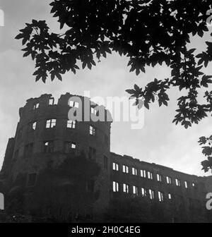 Fassade und Rundturm am Schloß in Heidelberg, Deutschland 1930er Jahre. Etage und der runde Turm auf das Heidelberger Schloss, Deutschland 1930. Stockfoto