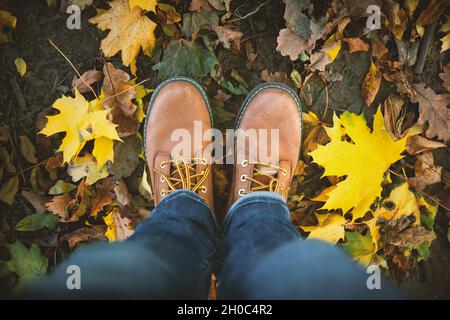 Herrenbeine in Jeans und braune Lederstiefel auf Parkgelände mit bunt umgestürzten Ahornblättern. Konzept der Herbstsaison und des angesagten Hipster-Lifestyles Stockfoto