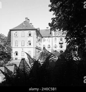 Das Deutschordensschloss mit dem Burgstall der Insel Mainau, Deutschland 1930er Jahre. Teutonic Knight Schloss auf der Insel Mainau, Deutschland 1930. Stockfoto