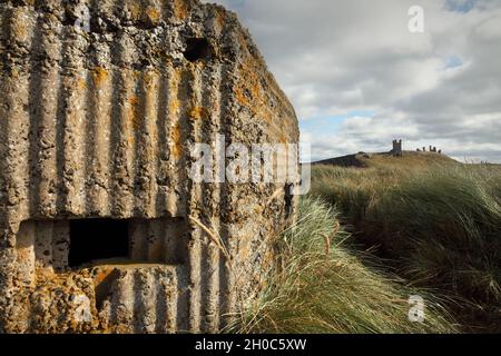 Betonsäulenkasten aus dem Zweiten Weltkrieg in der Nähe des Dunstanburgh Castle aus dem 14. Jahrhundert, nördlich von Craster, Northumberland, Großbritannien. Stockfoto